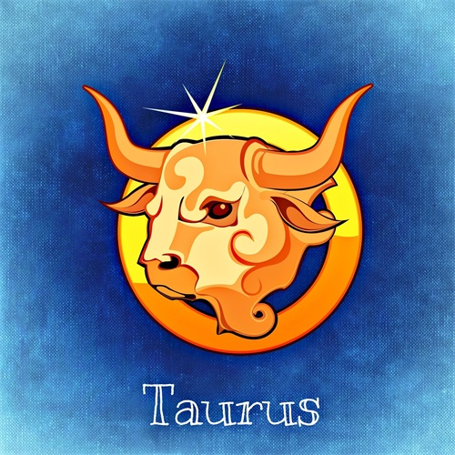 alexas_fotos-bull-759381_1920